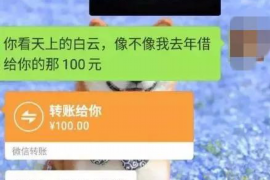 东源为什么选择专业追讨公司来处理您的债务纠纷？