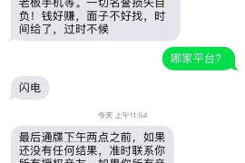 东源东源的要账公司在催收过程中的策略和技巧有哪些？